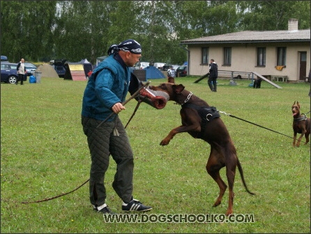 Training camp - Lukova 2007